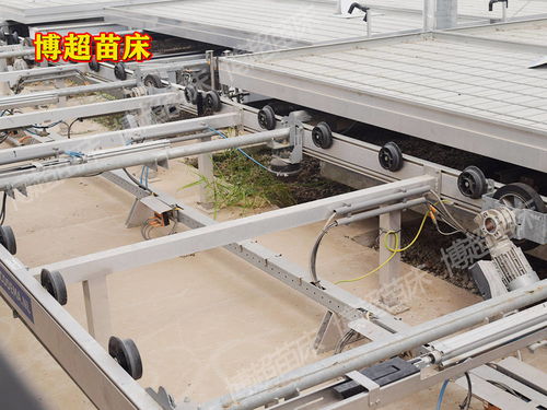 全自動物流苗床系統