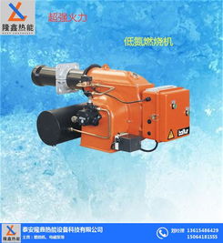 隆鑫熱能設(shè)備 專業(yè)燃?xì)馊紵龣C(jī)制造商，驅(qū)動(dòng)高效熱能裝備革新